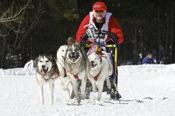 Kandersteg 2009 EM