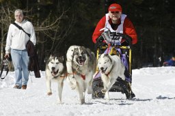 Kandersteg 2009 EM