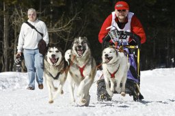Kandersteg 2009 EM