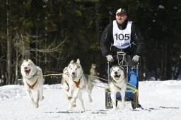 Kandersteg 2009 EM