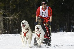 Kandersteg 2009 EM