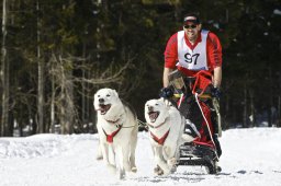 Kandersteg 2009 EM