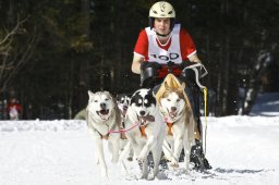 Kandersteg 2009 EM