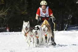 Kandersteg 2009 EM