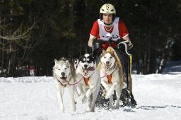 Kandersteg 2009 EM