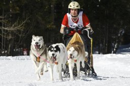 Kandersteg 2009 EM
