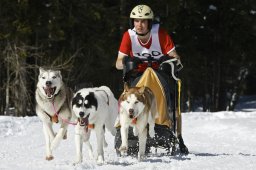 Kandersteg 2009 EM