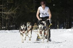 Kandersteg 2009 EM