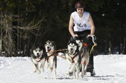 Kandersteg 2009 EM
