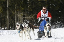 Kandersteg 2009 EM