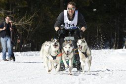 Kandersteg 2009 EM
