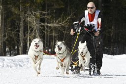 Kandersteg 2009 EM