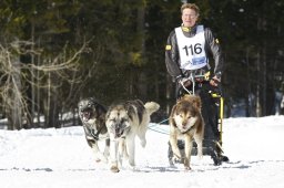 Kandersteg 2009 EM