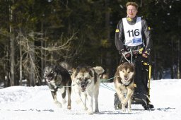 Kandersteg 2009 EM