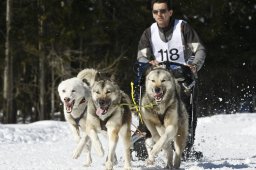 Kandersteg 2009 EM