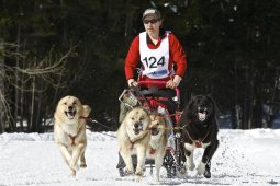 Kandersteg 2009 EM