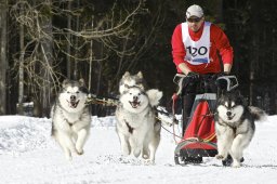 Kandersteg 2009 EM