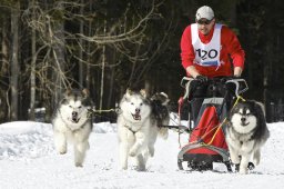 Kandersteg 2009 EM