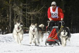 Kandersteg 2009 EM
