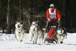 Kandersteg 2009 EM