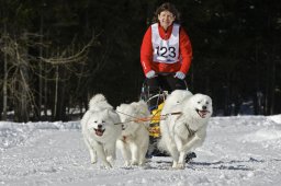 Kandersteg 2009 EM