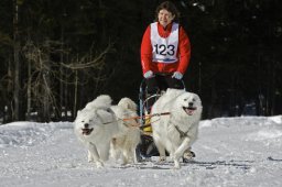 Kandersteg 2009 EM