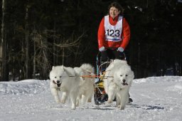 Kandersteg 2009 EM