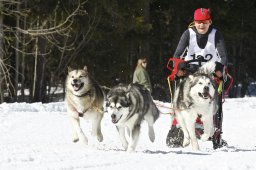 Kandersteg 2009 EM