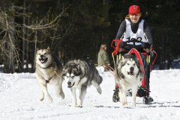Kandersteg 2009 EM