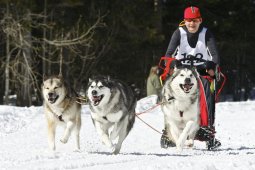 Kandersteg 2009 EM