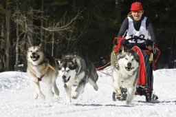 Kandersteg 2009 EM