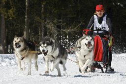 Kandersteg 2009 EM