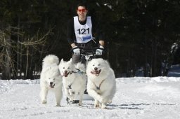 Kandersteg 2009 EM