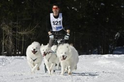 Kandersteg 2009 EM