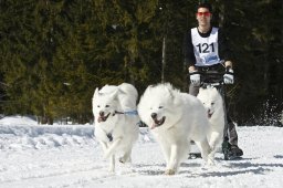 Kandersteg 2009 EM
