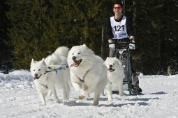 Kandersteg 2009 EM