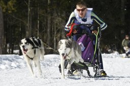 Kandersteg 2009 EM