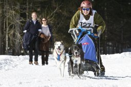 Kandersteg 2009 EM