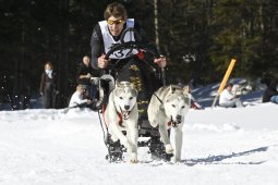 Kandersteg 2009 EM