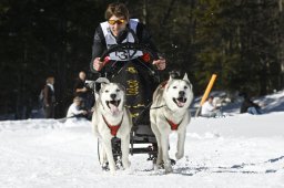 Kandersteg 2009 EM