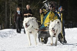 Kandersteg 2009 EM