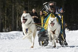 Kandersteg 2009 EM