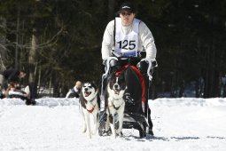 Kandersteg 2009 EM