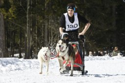 Kandersteg 2009 EM