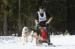 Kandersteg 2009 EM