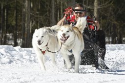 Kandersteg 2009 EM