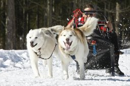 Kandersteg 2009 EM