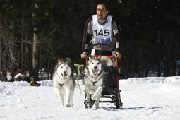 Kandersteg 2009 EM