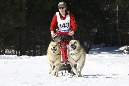 Kandersteg 2009 EM