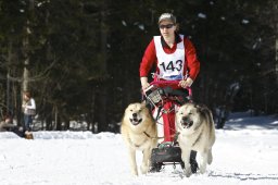 Kandersteg 2009 EM